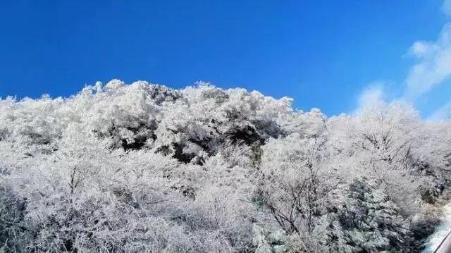 2024年春节期间HPV疫苗接种时间安排