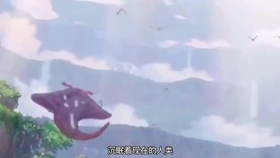 蜘蛛森林逃生